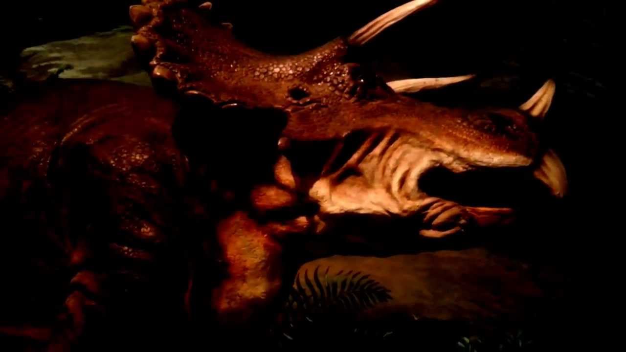 REAL LIFE DINOSAURS!