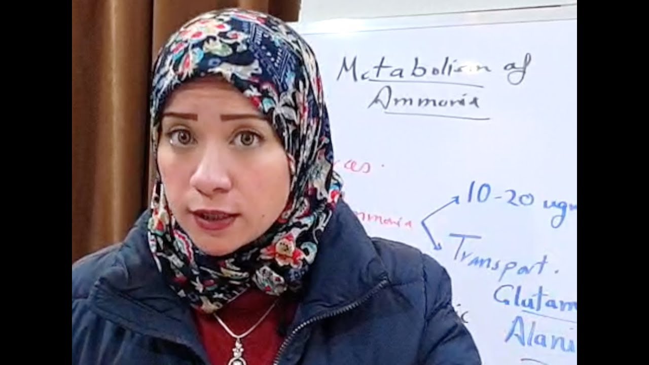 ( Protein Metabolism Session 5) Metabolism of Ammonia
