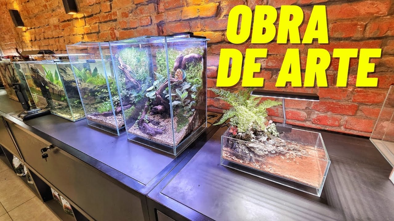 ESSE AQUÁRIO FICOU SIMPLESMENTE FANTÁSTICO!!!