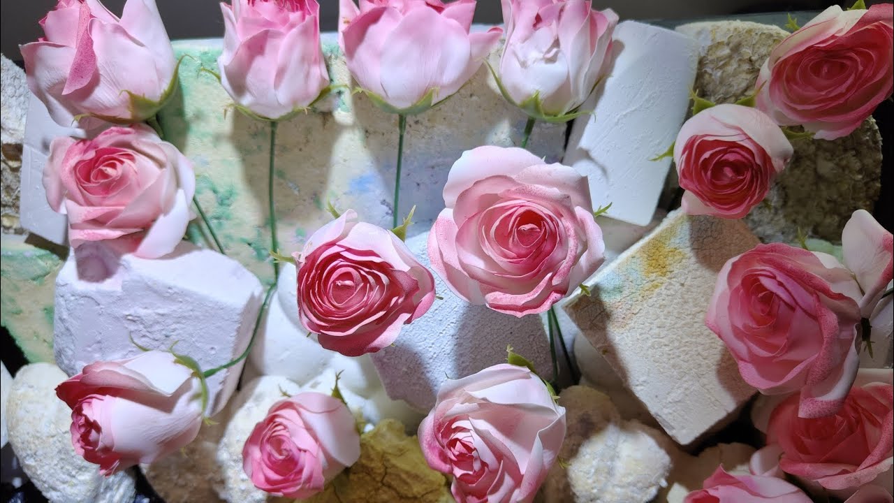 七夕情人节粉笔丨Valentine's Day flower chalk丨助眠治愈系