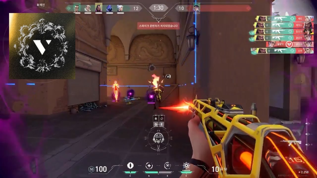 New Pacific Team, VARREL