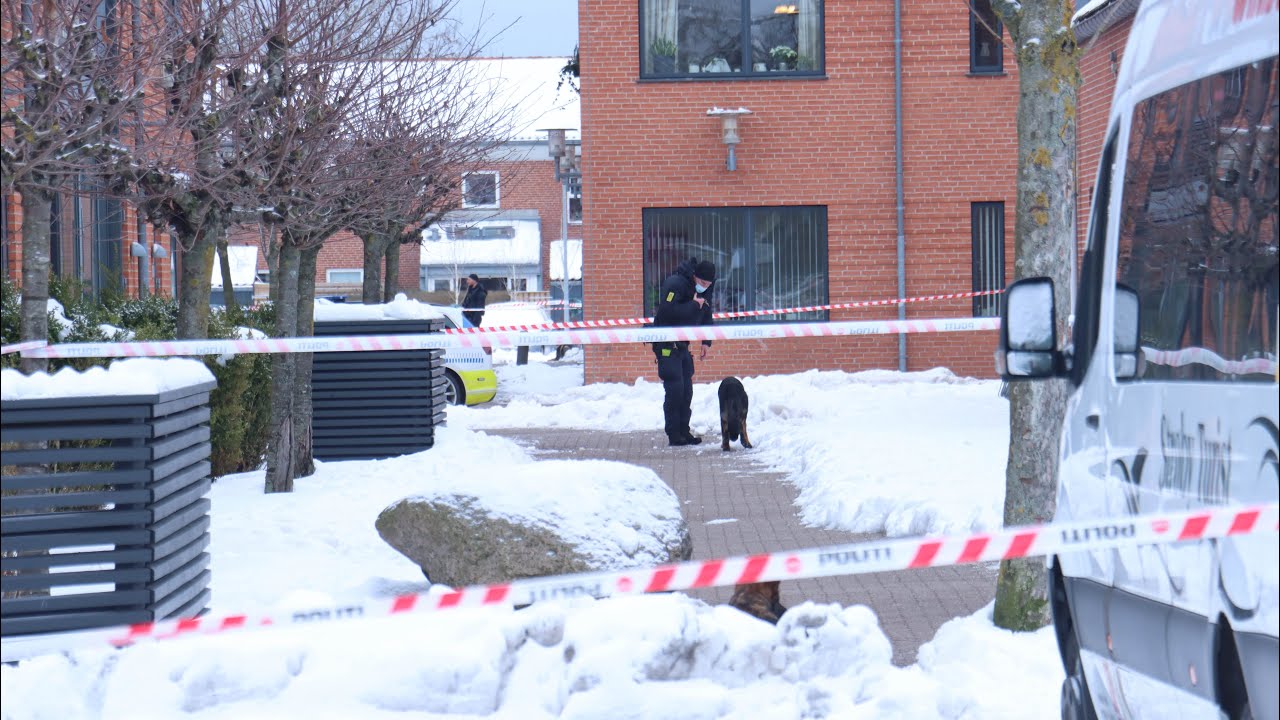 Skud afgivet ved Køge Fredag 13/2-26