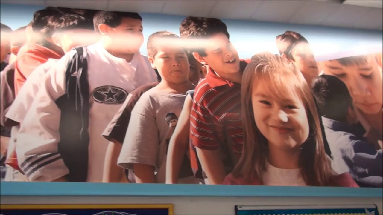 2017 C.M. Macdonell Elementary School Video Story Contest Entry