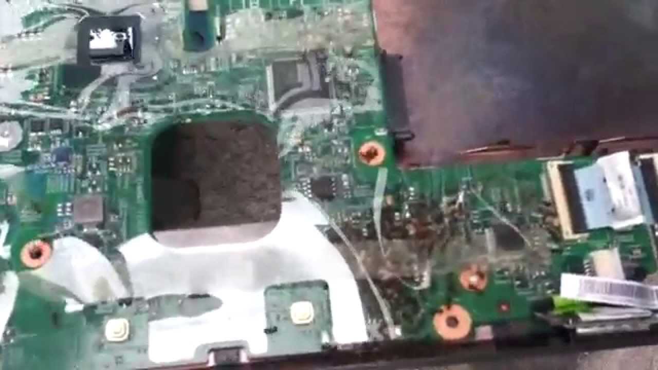 laptop ants colony