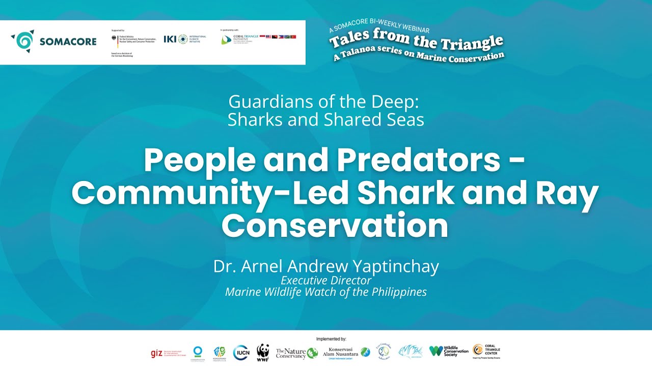 People and Predators: Shark and Ray Conservation