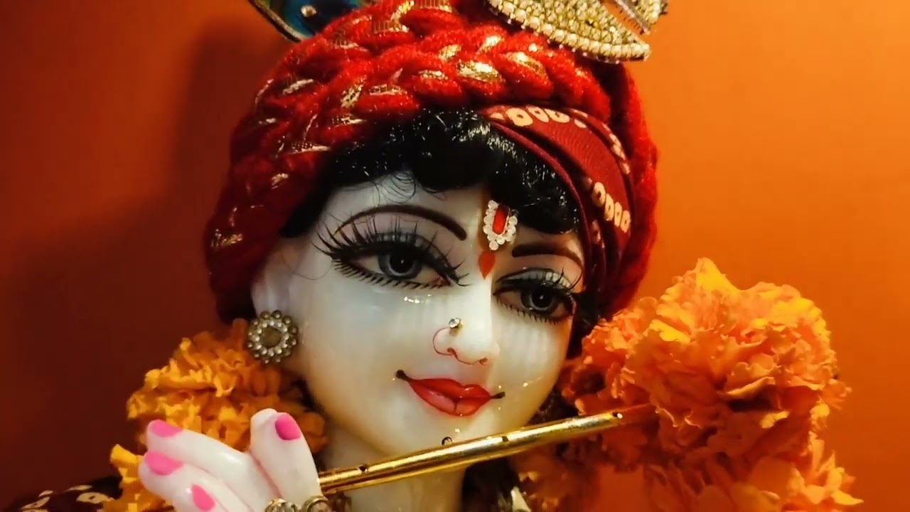 मेरे प्यारे राधाकृष्णा जी के (शरद नवरात्रि) के श्रृंगार दर्शन 🙏#happynavratri ❤️