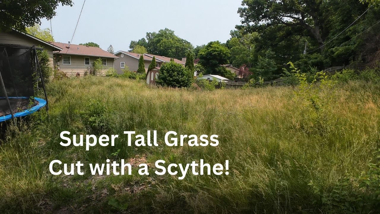 Cutting Super Tall Grass With a Scythe | Refused Service By Lawn Companies