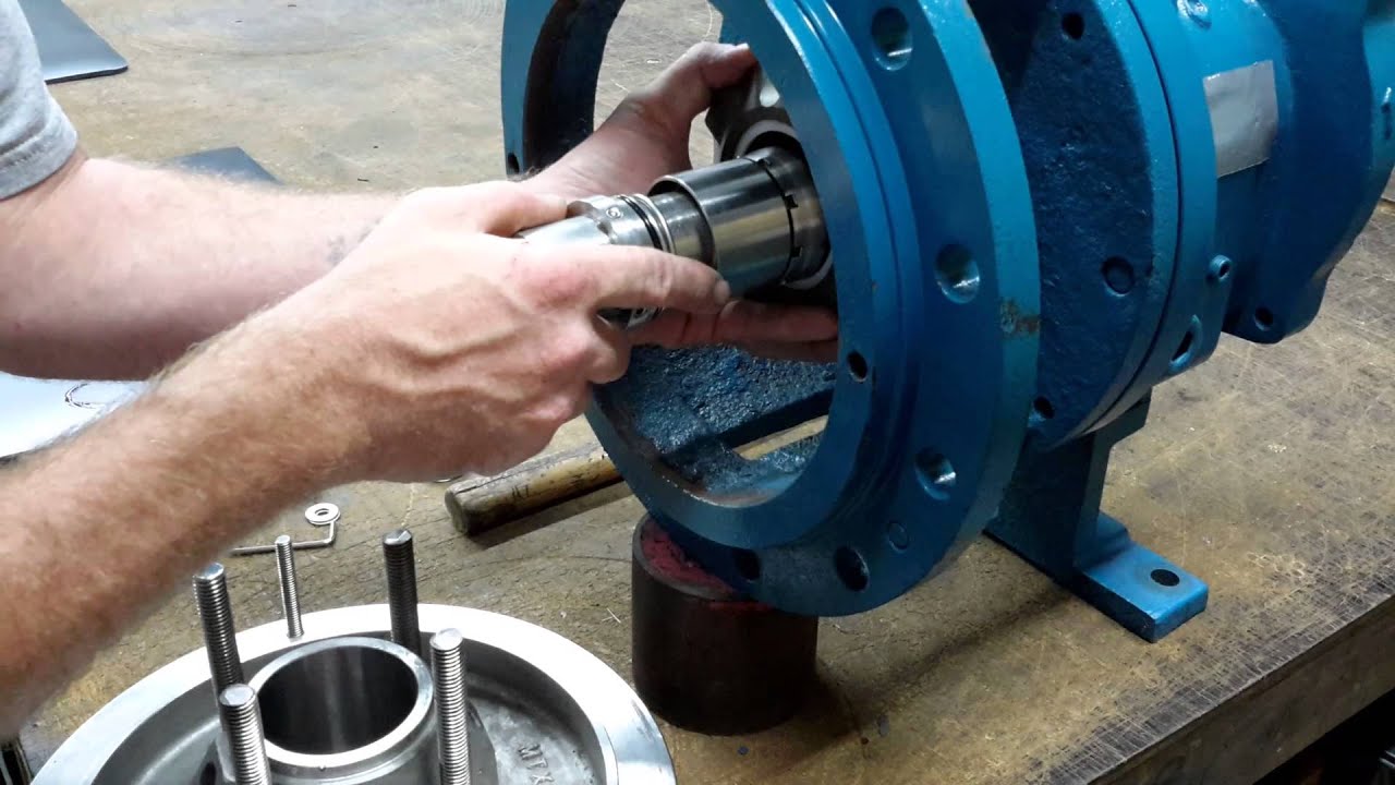 Mechanical Seal