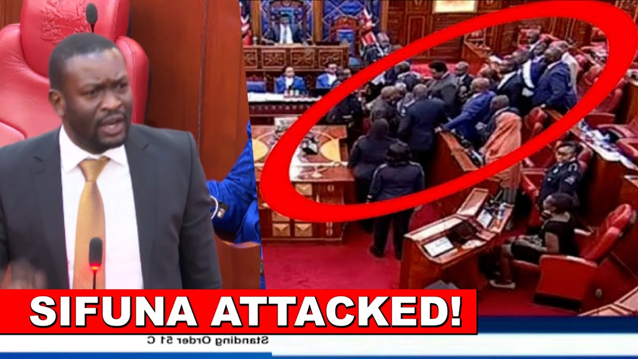 War erupt in Senate, Sifuna almost beaten by UDA senators for attacking Ruto and Raila Odinga!