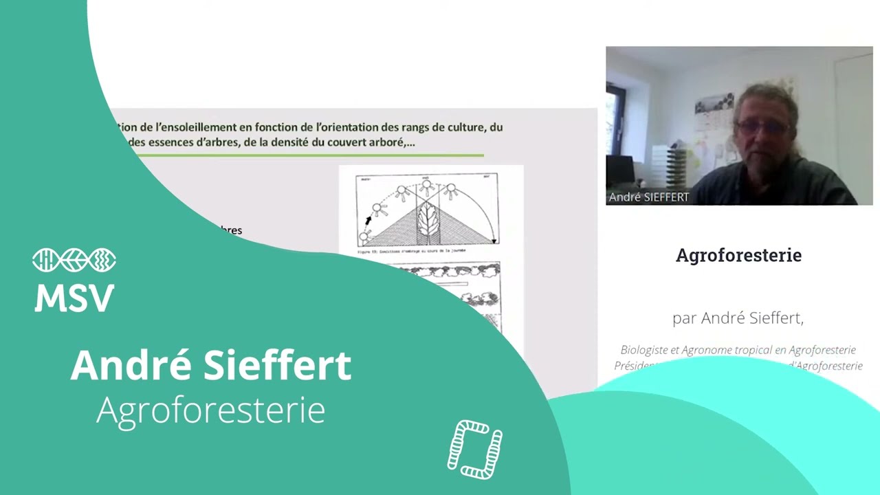 Le verger maraîcher : un exemple d'agroforesterie