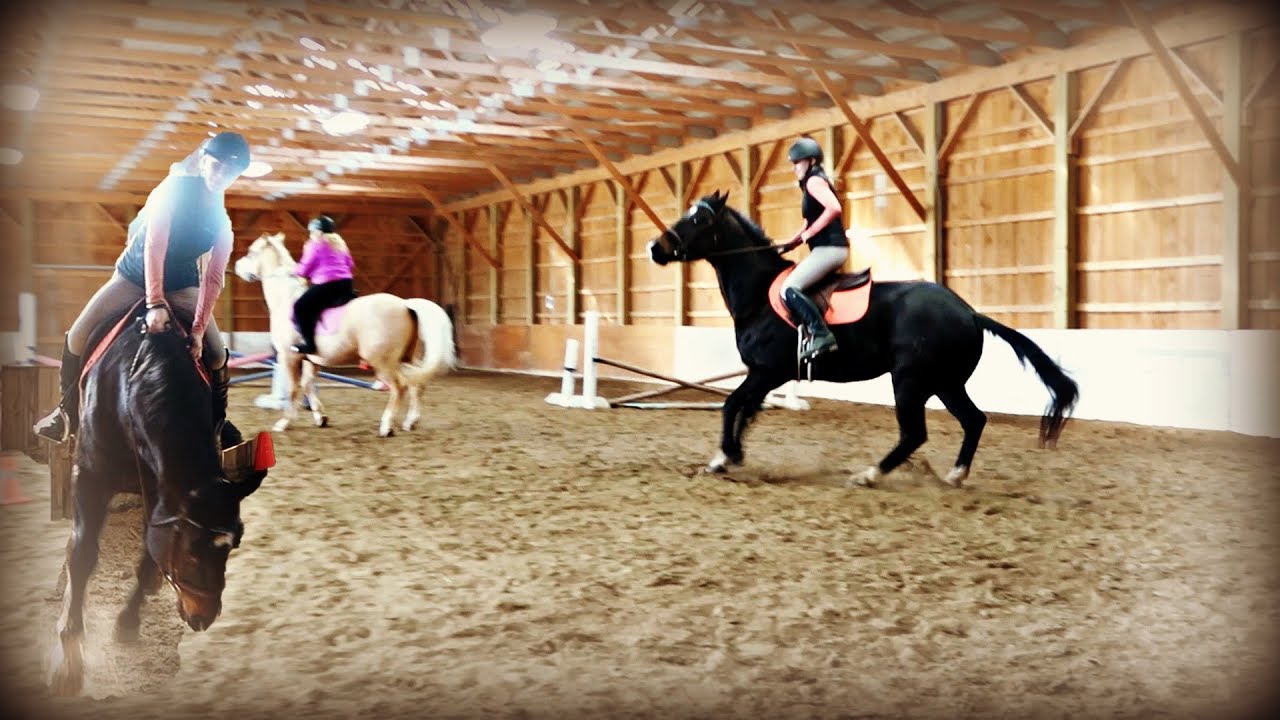 KIDS FALLING, HORSES SPOOKING, A CRAZY DAY AT THE BARN! DAY 061 (03/01/20)