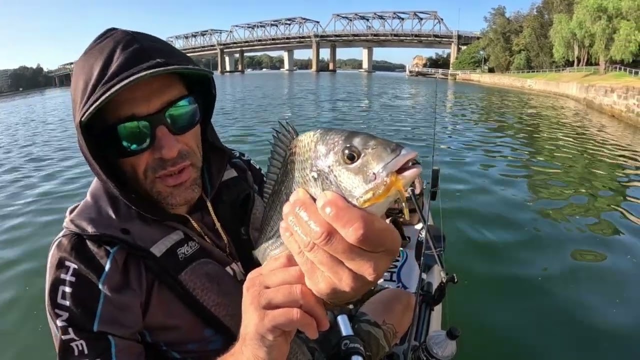 SYDNEY HARBOUR BREAM WERE ON THE CHEW