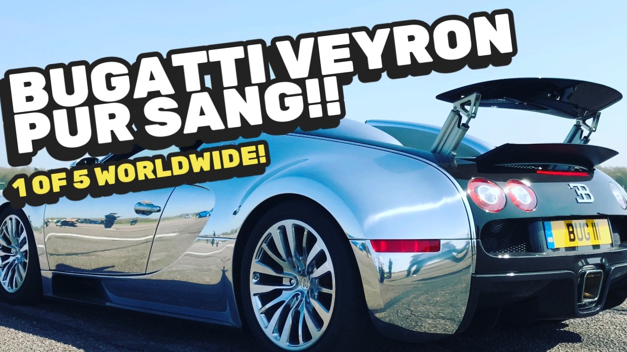 The Bugatti Veyron PUR SANG!! 1 of 5 WORLDWIDE!! Plus, a HYPERCAR Traffic Jam with CARL HARTLEY!!!