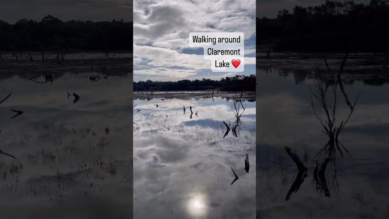 Walking around a lake in Perth Western Australia, #Claremontlake #perthtour