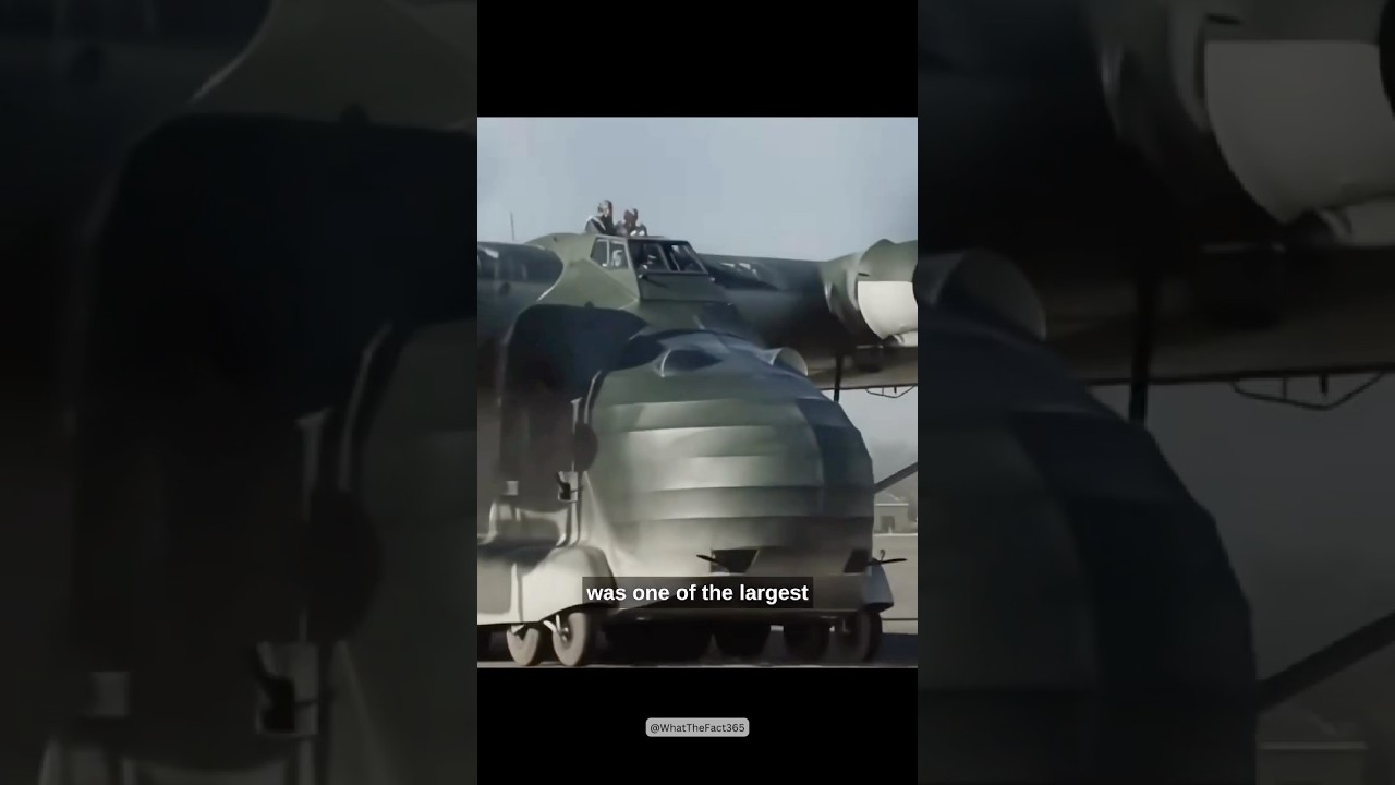GERMANYS MASSIVE TRANSPORT AIRCRAFT OF WWII FACT