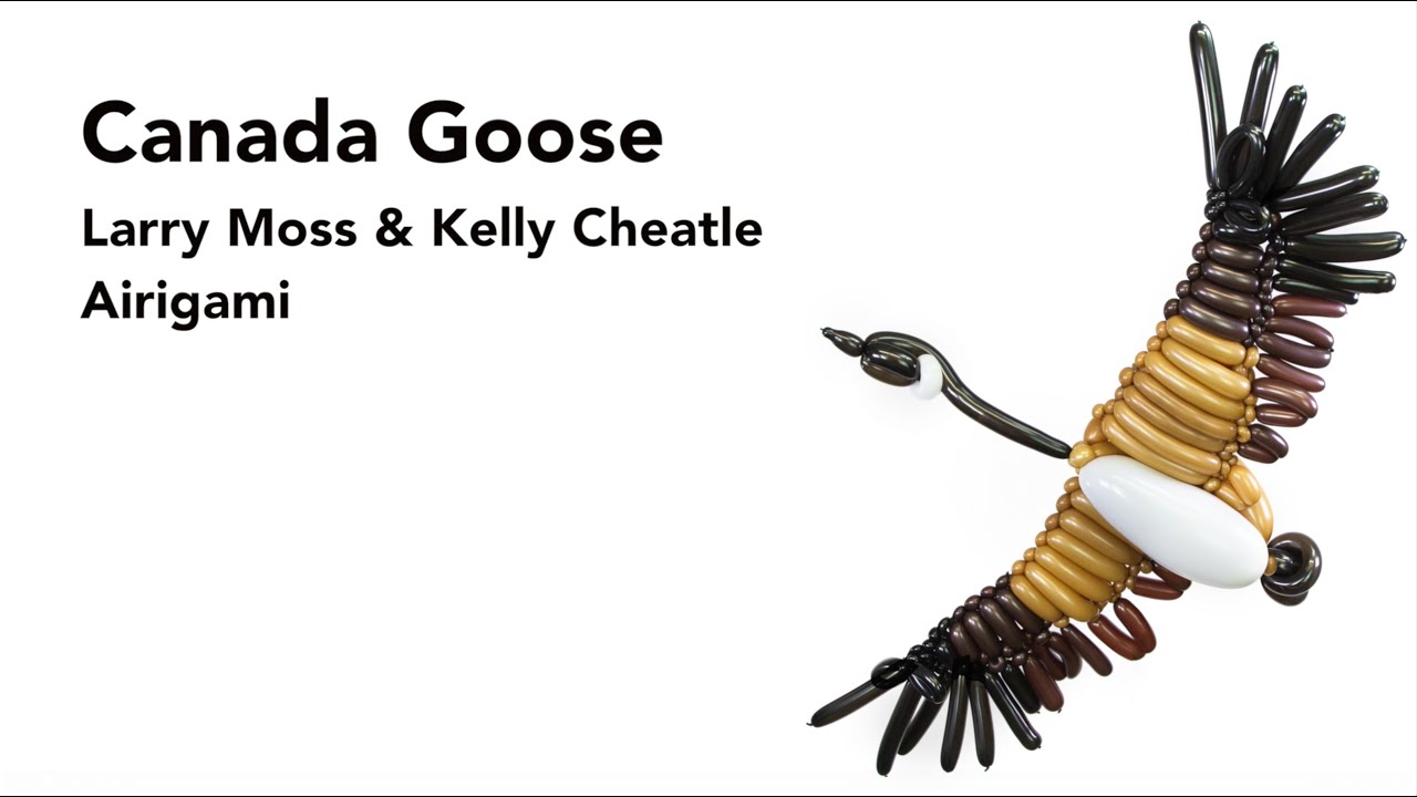 How to make a canada goose with balloons