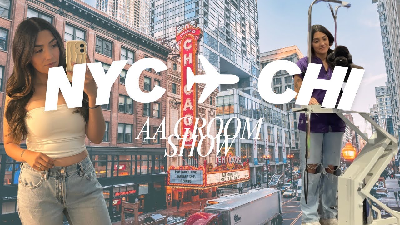 NYC ✈︎ CHI Roadtrip Vlog | All American Groom Show 2025