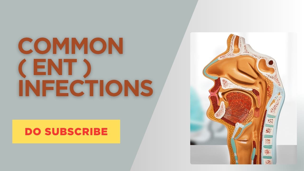 ENT Infections | Causes, Symptoms, Diagnosis & Treatment | MLT Vibes with FAA