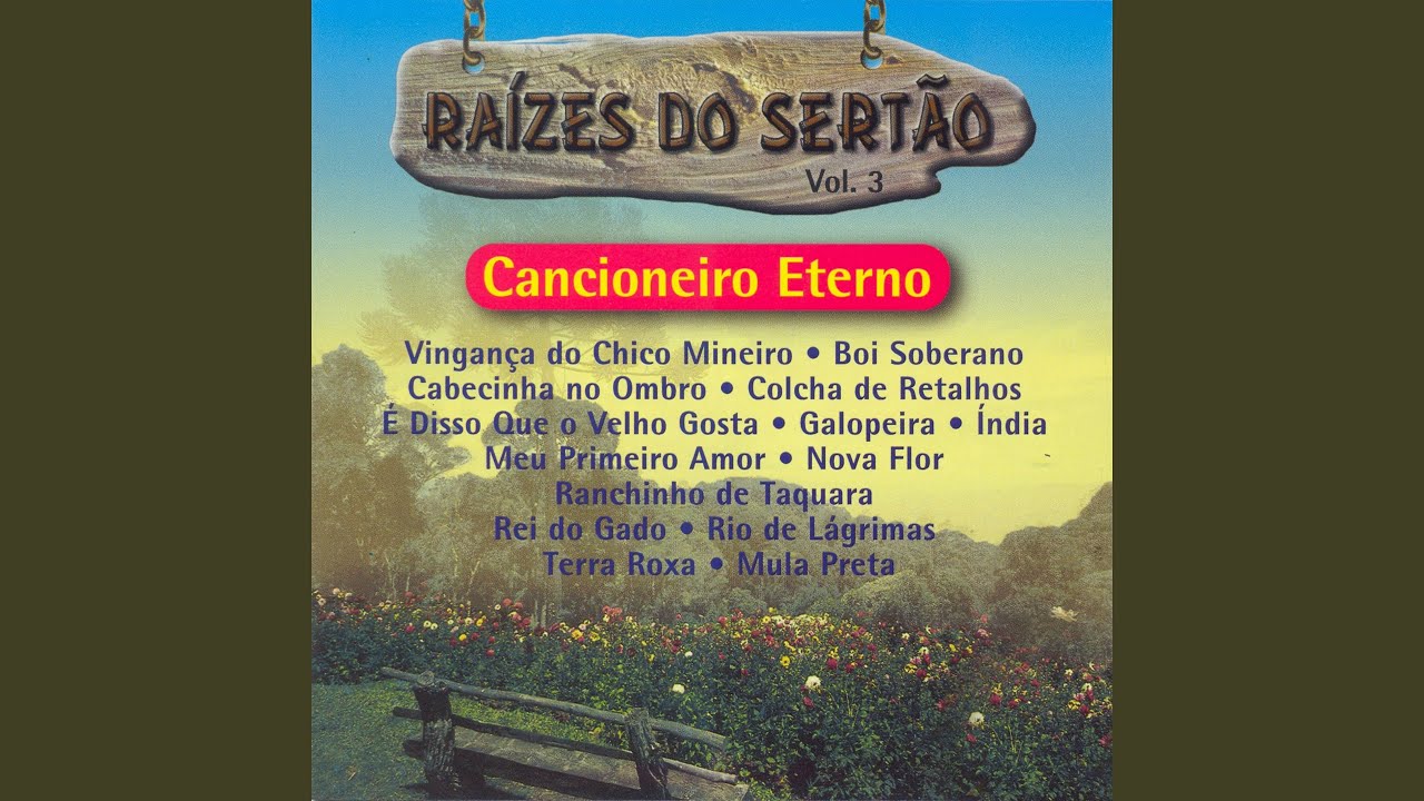 Meu Primeiro Amor (Lejania)