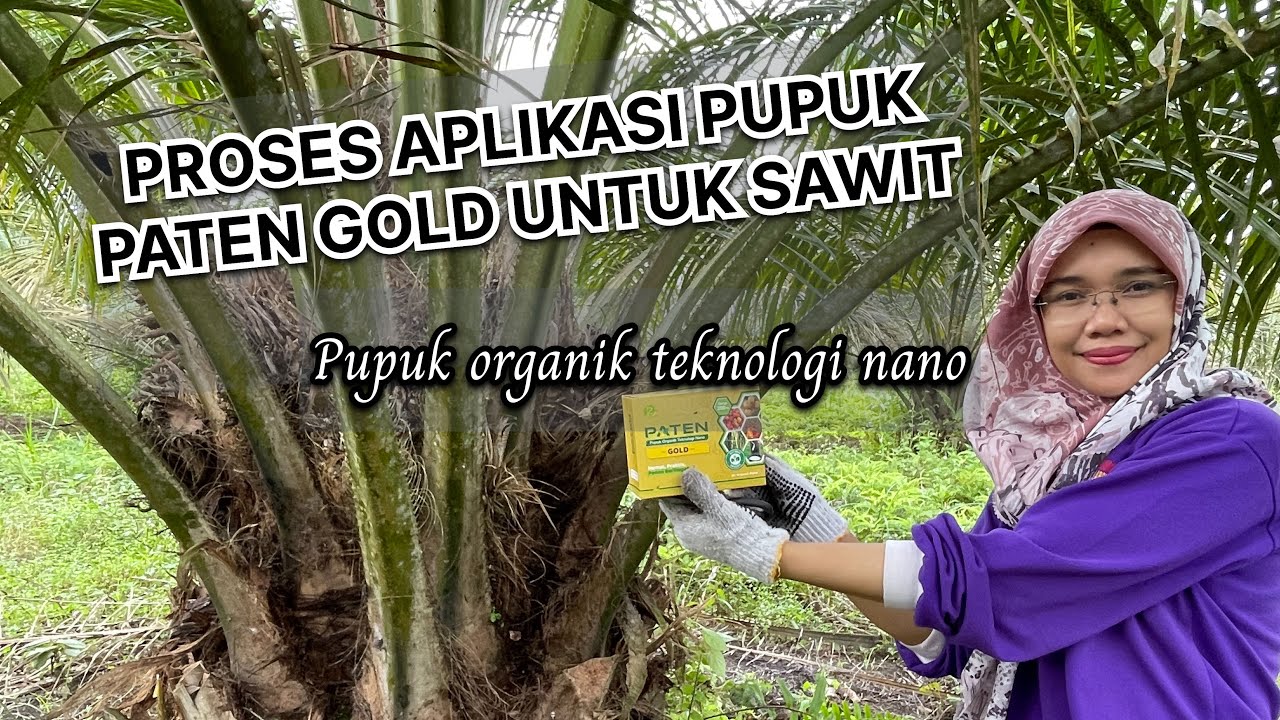 CARA APLIKASI PUPUK PATEN GOLD TEKNOLOGI NANO PADA SAWIT BERMASALAH
