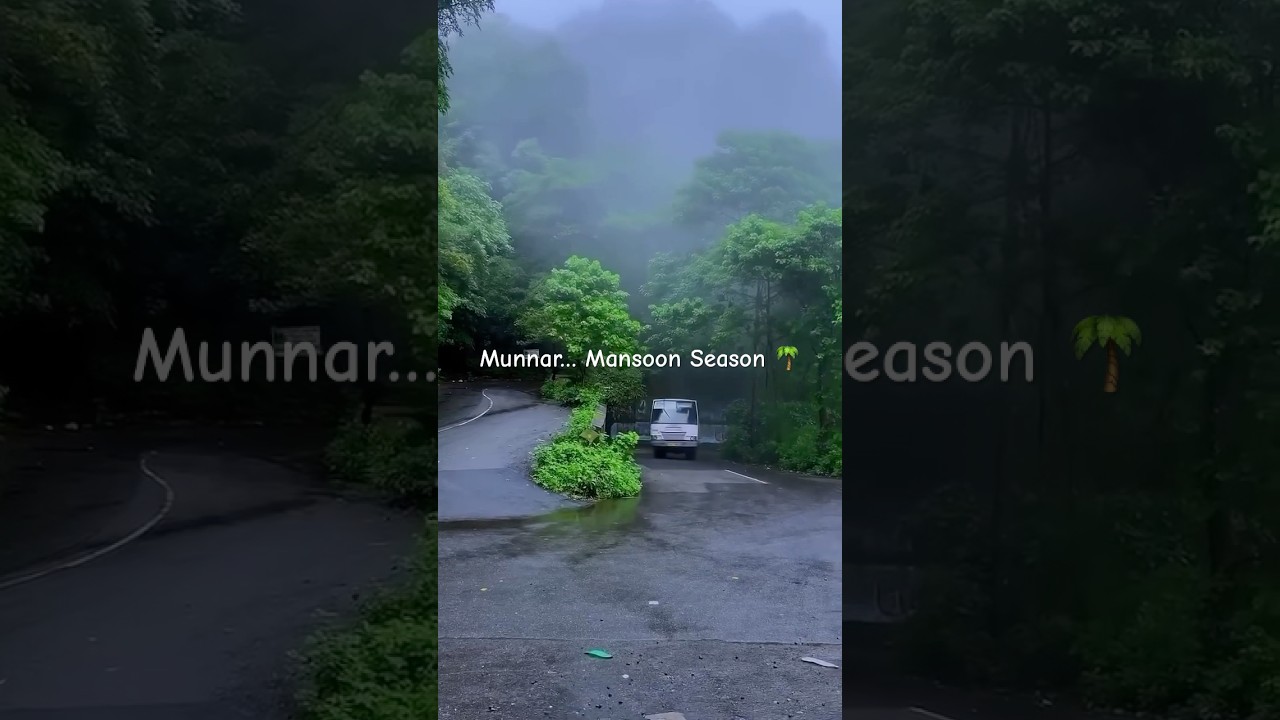 Munnar 🌴 Mansoon Season 🌧️ #kochi #kerala #munnar #mansoon