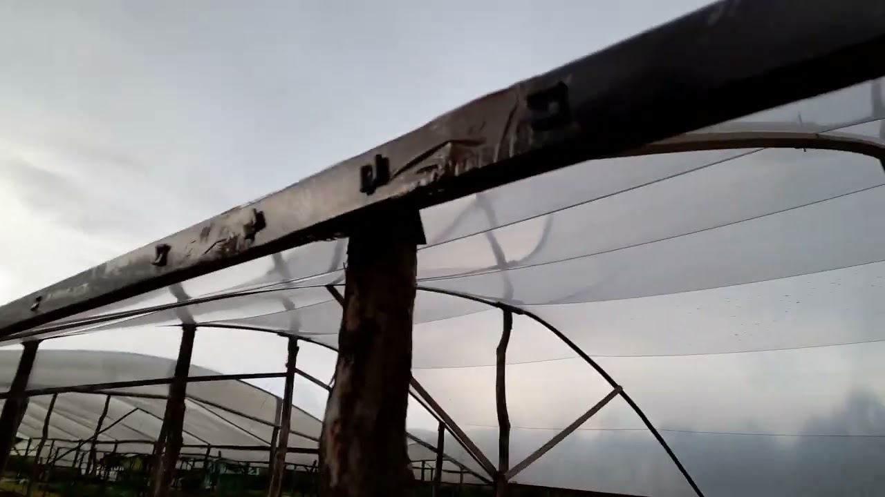 RESUMO COMO FAZER UM ABRIGO DE CULTIVO. PARTE 2