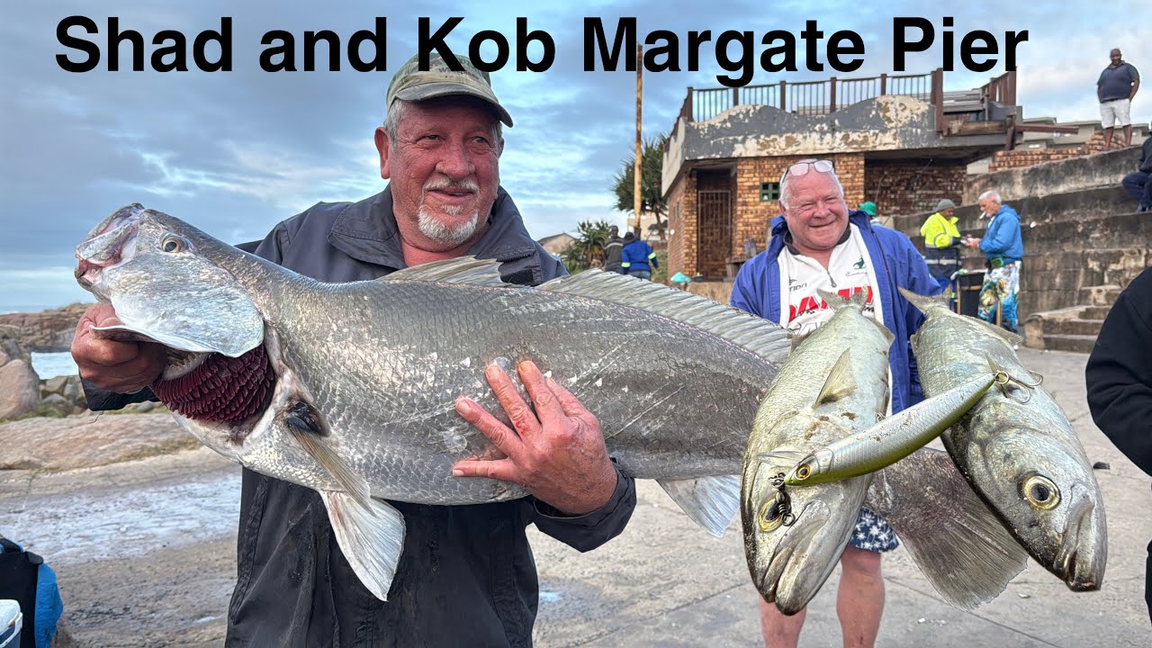 Shad and Kob at Margate Pier -  Fishing KZN, South Africa