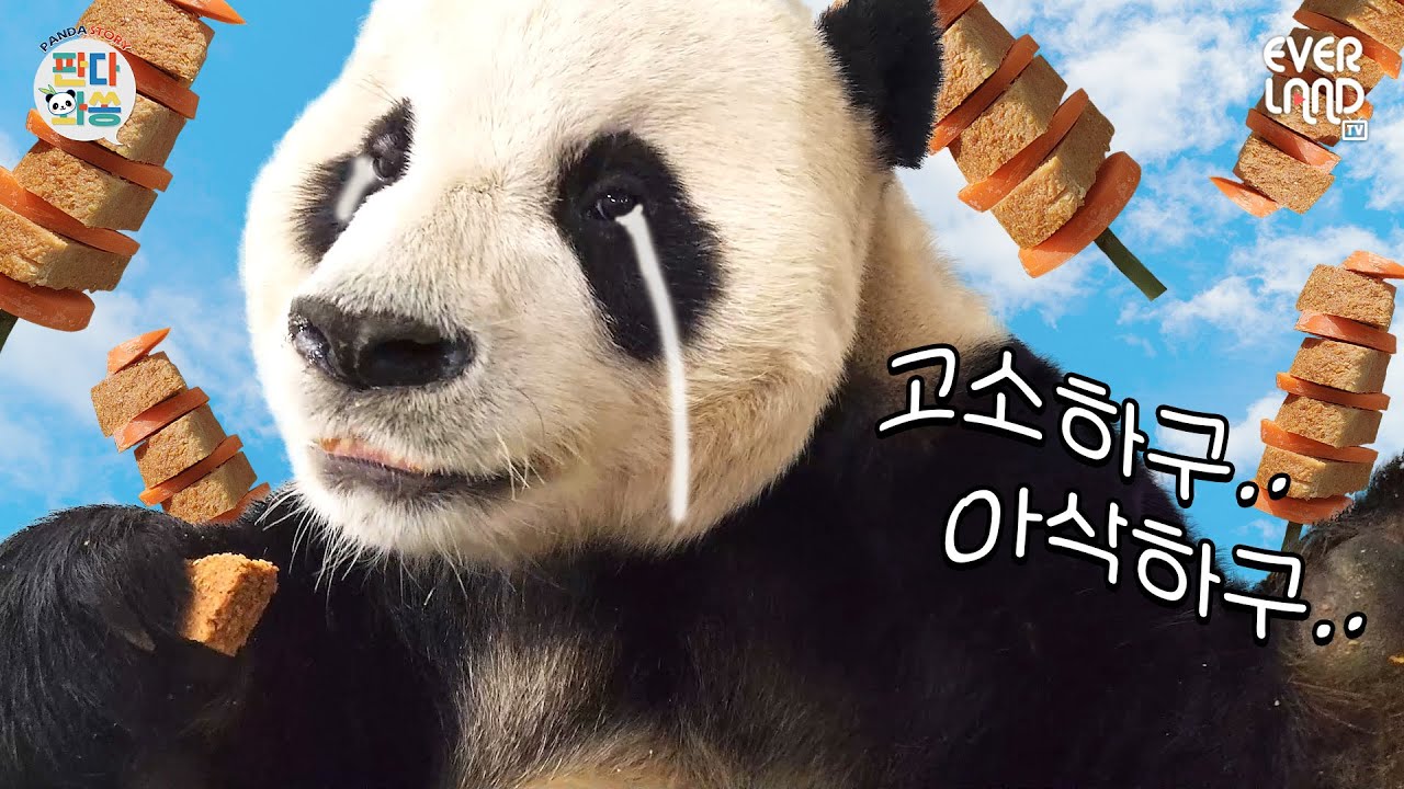 [ENG] 판다도 먹을 수 있는 소떡소떡 만들었습니다│#판다와쏭 #95