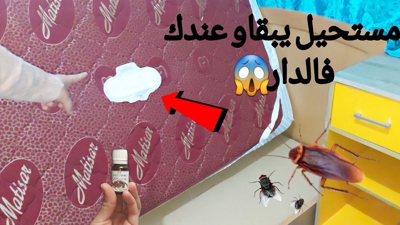 صرصور واحد متلقايهش❌️❌️...قطرات منو رتاحي من الحشرات الصيف كامل...نتيجة غتصدمك