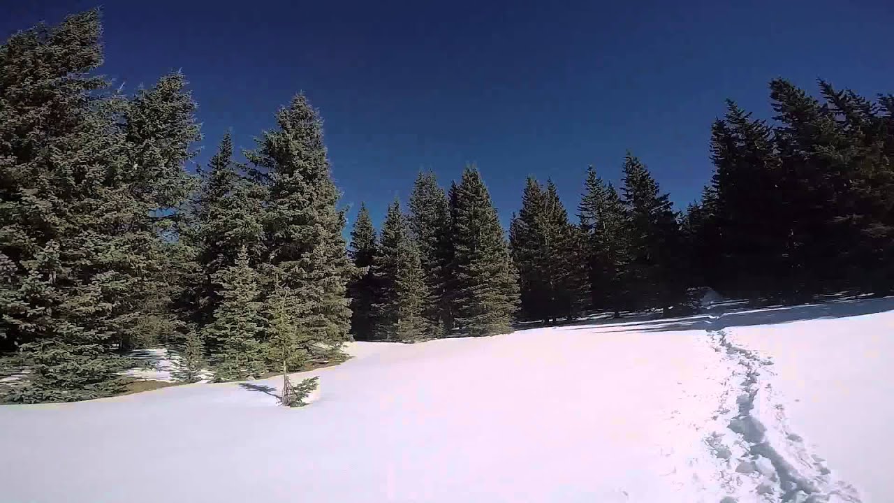 snowsnowsnow