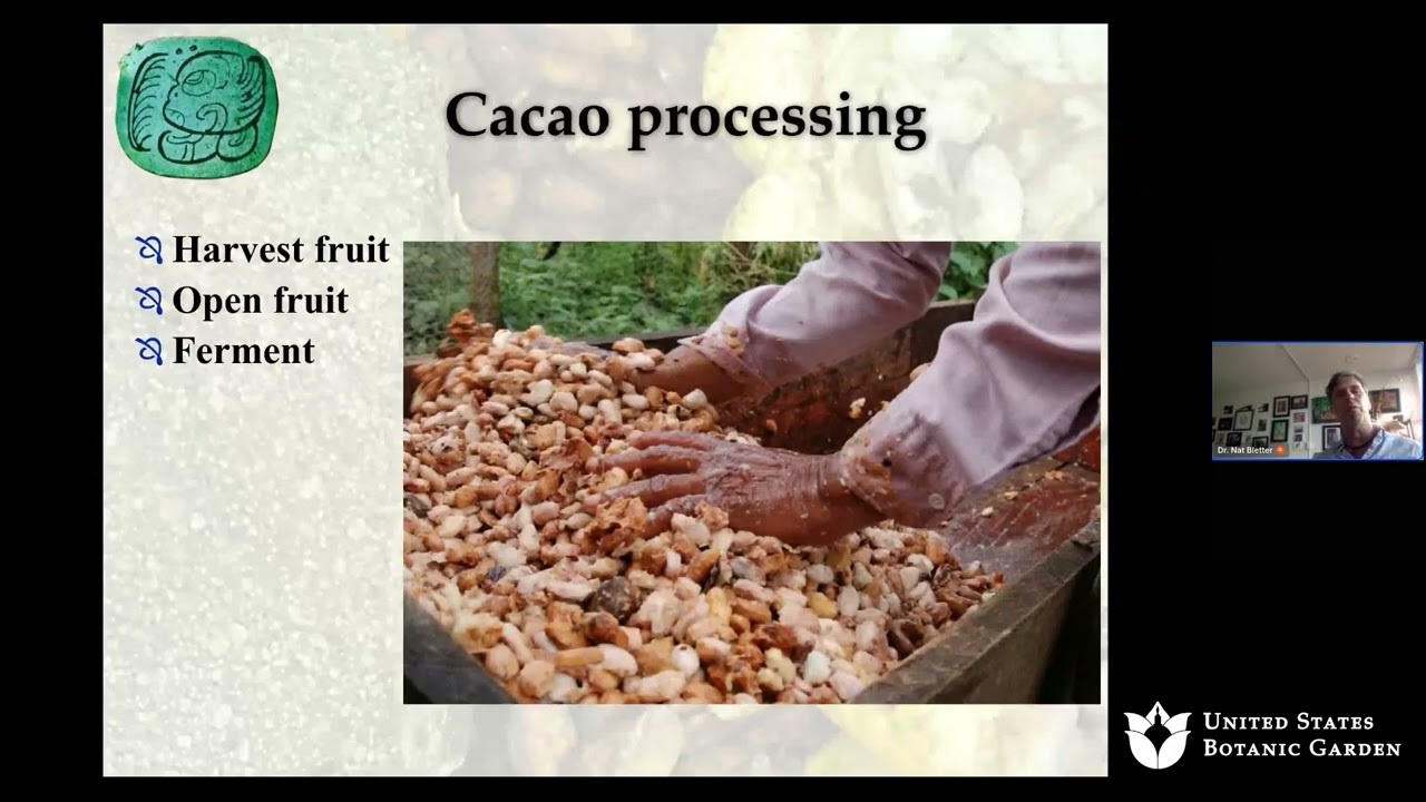 Terroir of Chocolate–Cacao Flavor from Around the World