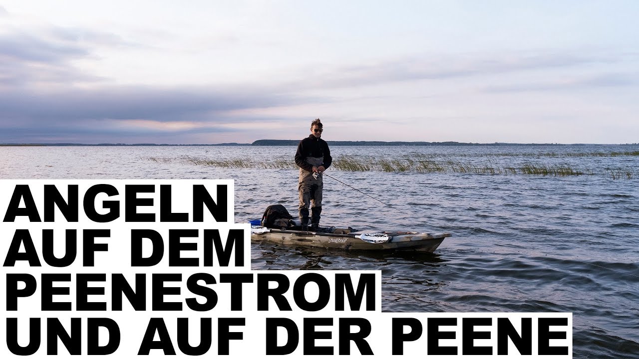 ANGELN AUF DEM PEENESTROM UND AUF DER PEENE MIT ANDY PELAJ
