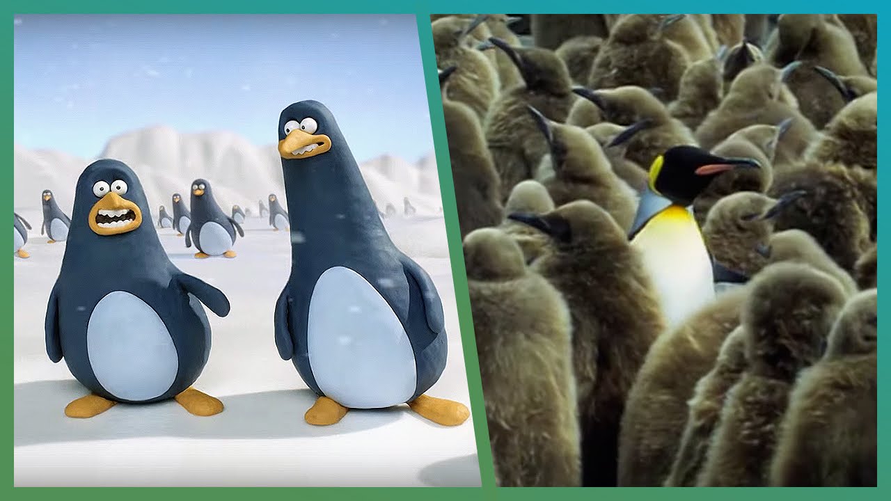 Penguins on Attenborough | BBC Earth Explore