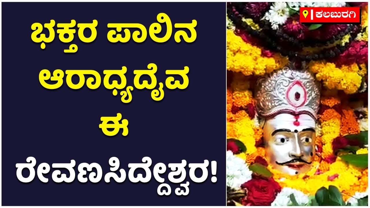 ನಂಬಿ ಬಂದವರ ಪಾಲಿನ ಆರಾಧ್ಯದೈವ ಈ ರೇವಣಸಿದ್ದೇಶ್ವರ : ರಟಕಲ್‌ ಗುಡ್ಡದ ದೇಗುಲ | Kalaburagi | Vijay Karnataka