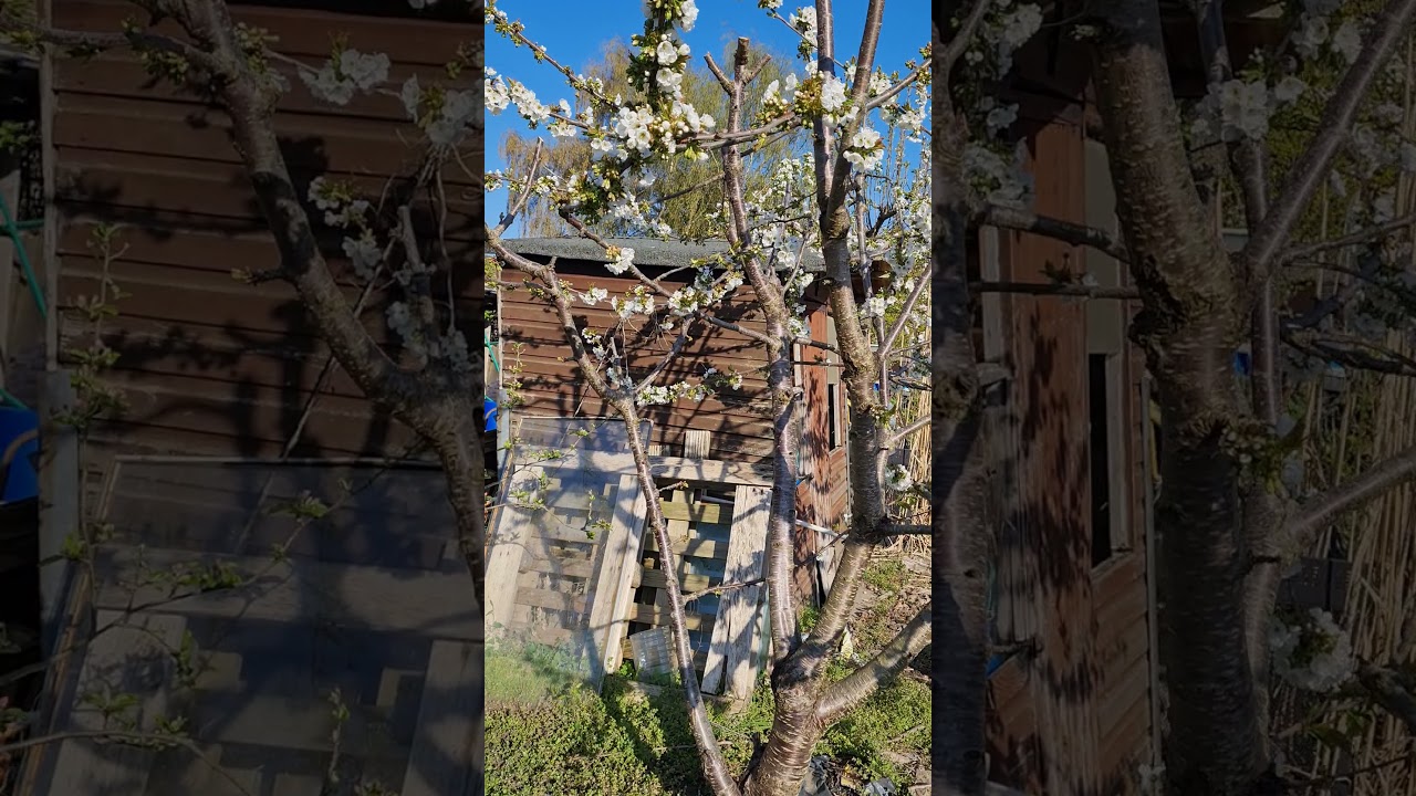 Spring revelation