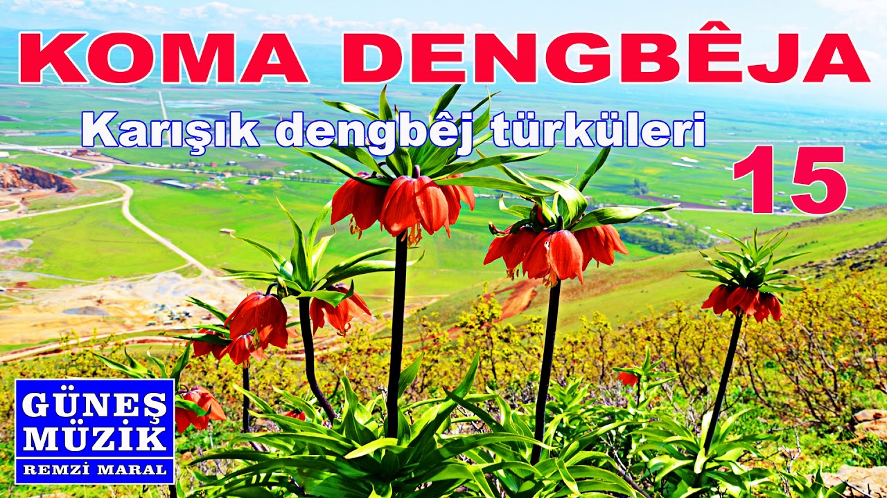 KOMA DENGBEJA   15  , KARIŞIK DENGBEJ TÜRKÜLERİ