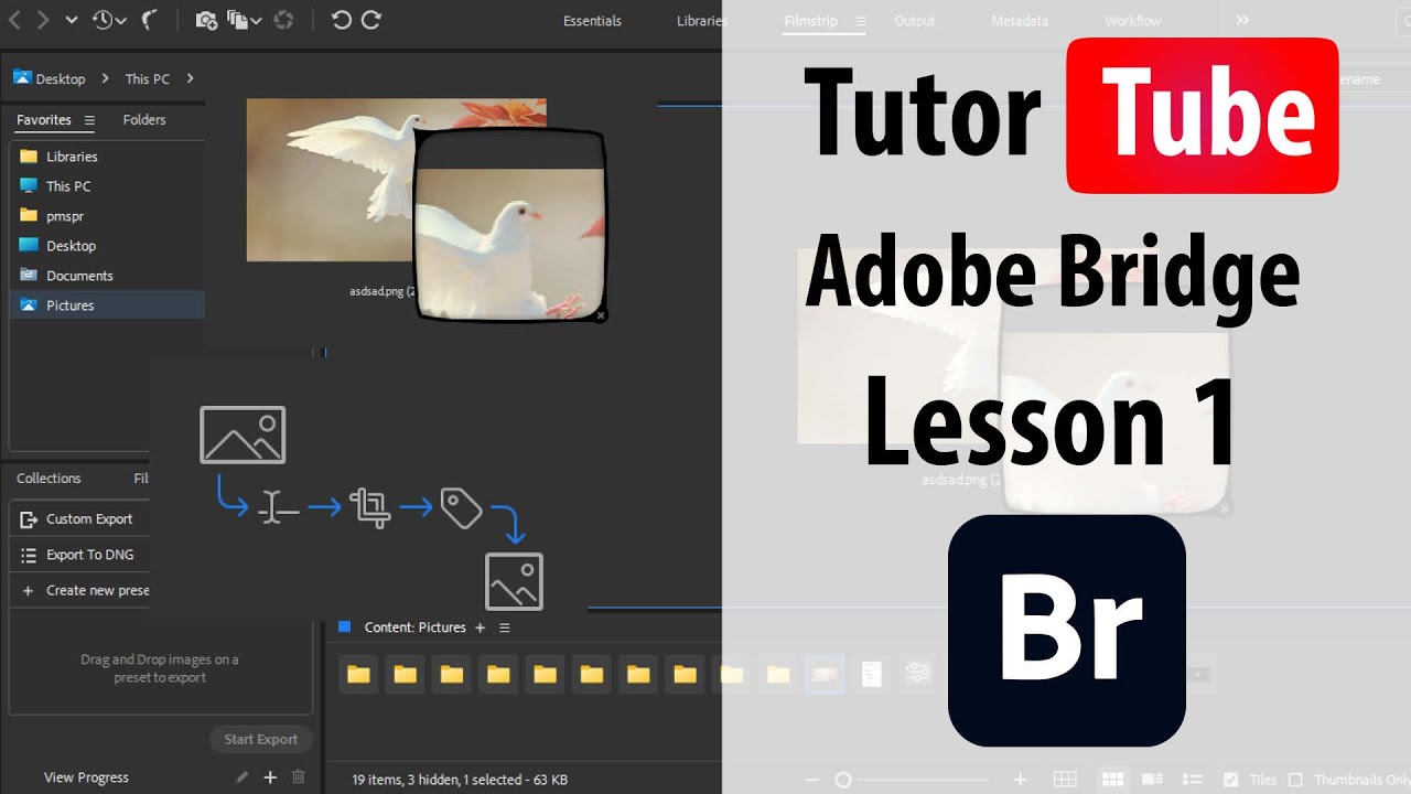 Adobe Bridge - Lesson 1 - Adobe Bridge Interface