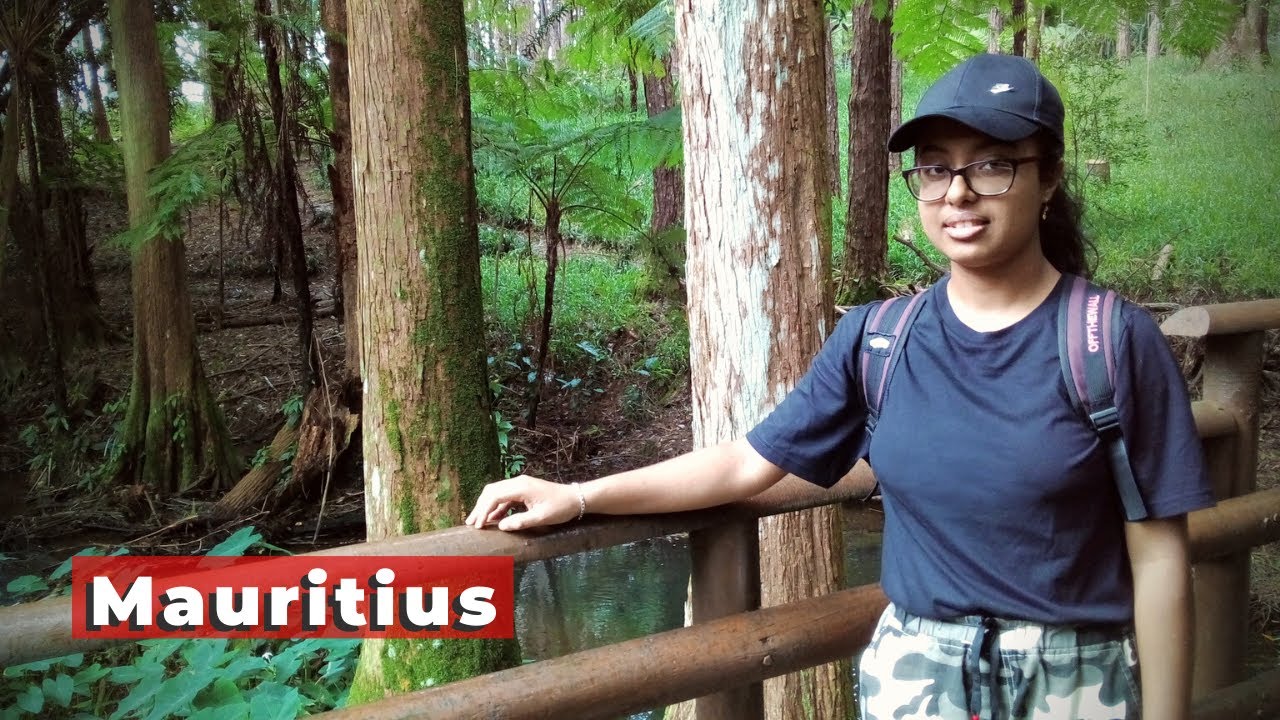 I went to the FAMOUS Instragram place SOPHIE NATURE PARK in Mauritius | *vines on trees