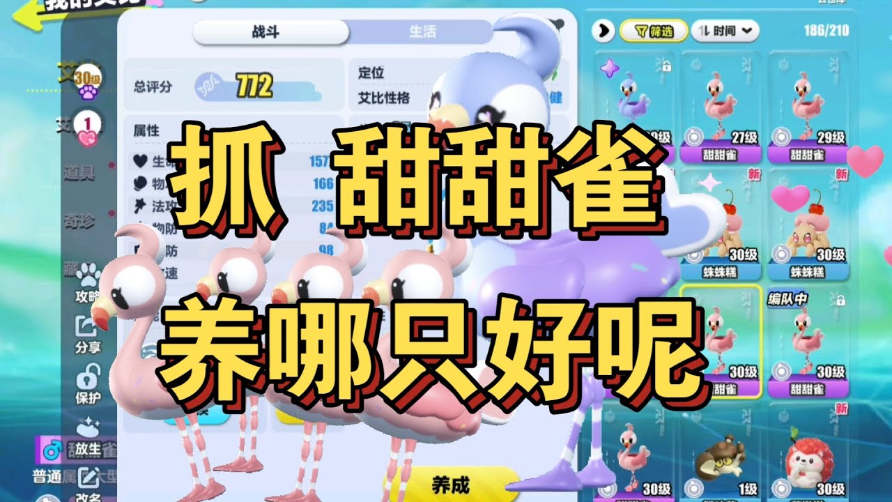 抓甜甜雀！大家帮我选选养哪一只啊？好难选啊！