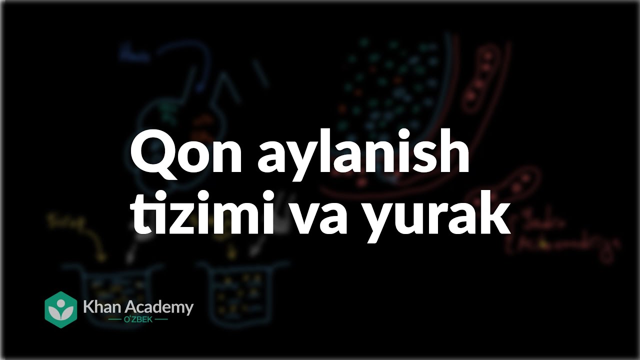 Qon aylanish tizimi va yurak | Qon aylanish tizimi | Tibbiyot