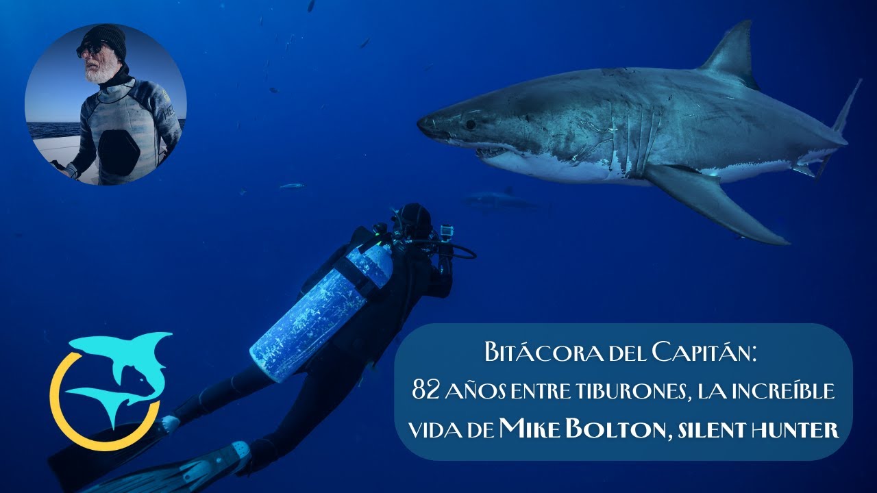 🎙️ Mike Bolton: A los 82 sigue buceando con tiburones | Bitácora del Capitán