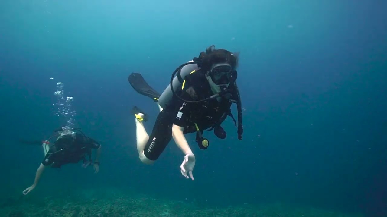 Diving in Gili T