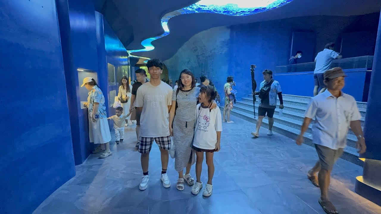 Pov: thăm quan Viện bảo tàng Hải Dương Học | Thuỷ cung Nha Trang 