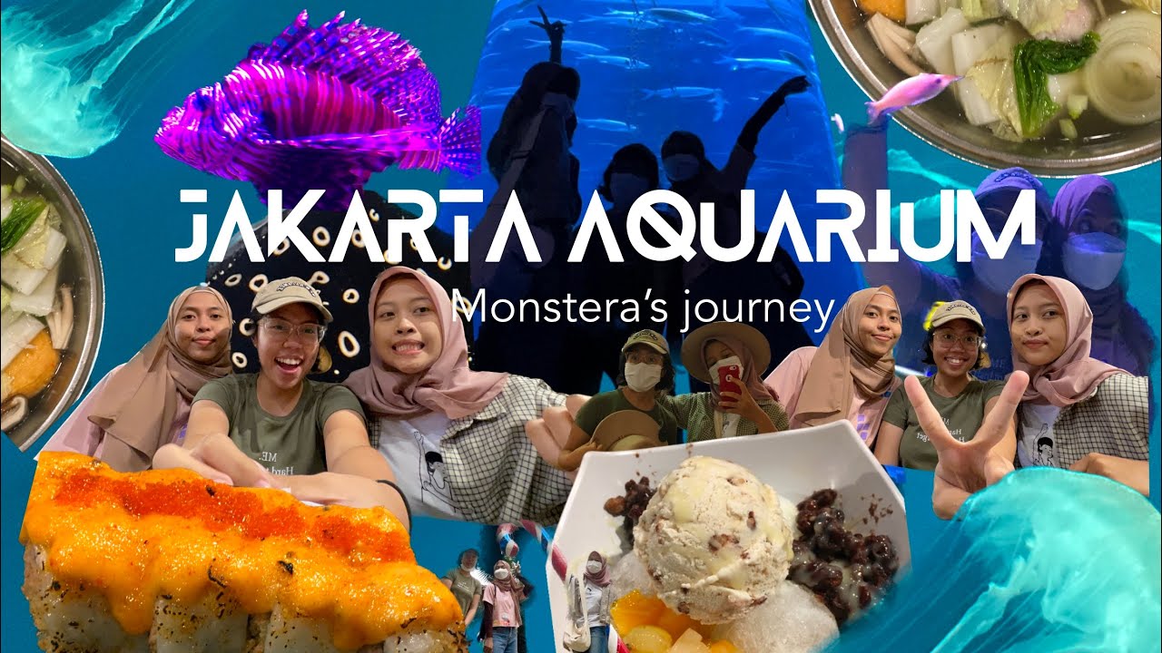 Jakarta Aquarium | Monstera&rsquo;s Journey