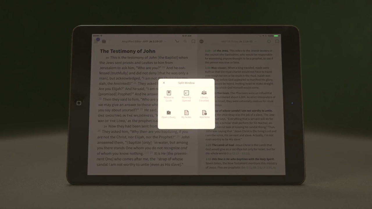 Amplified Study Bible