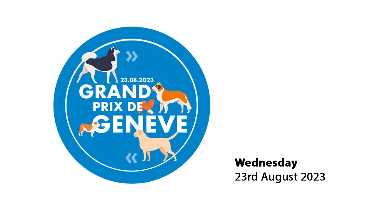 Grand prix de Genève