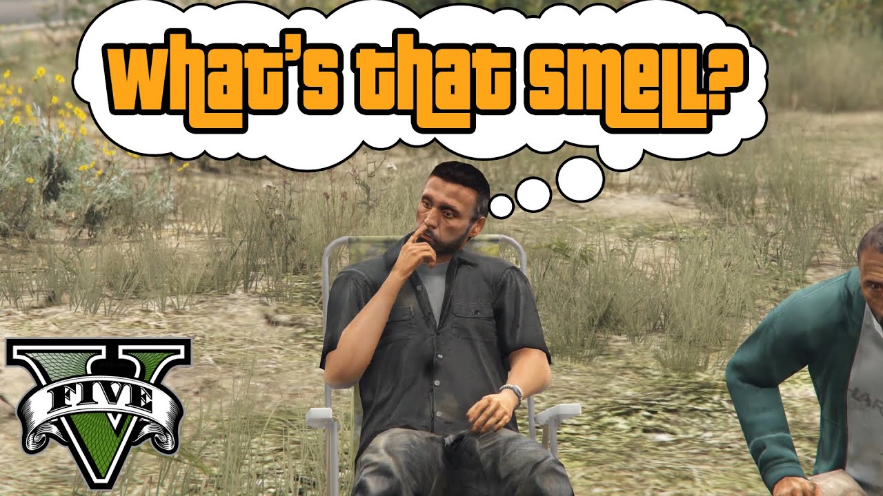 Funny NPC conversations #10 (GTA V)