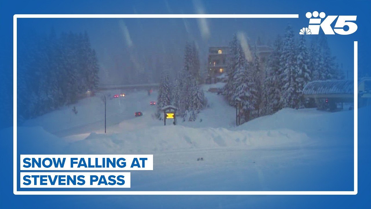 Snow falling at Stevens Pass