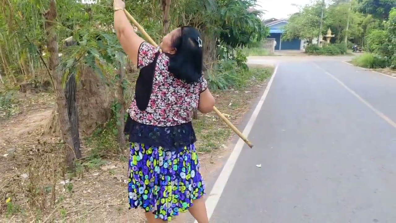 หาเก็บผักริมรั้วกับแม่รีไว้ทำเมนูอาหารเย็นวันนี้