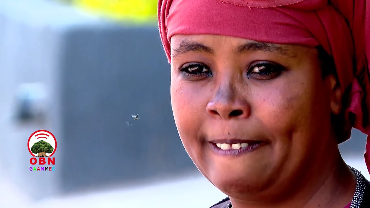 Diraamaa Leetoo  Ayyaana Qillee